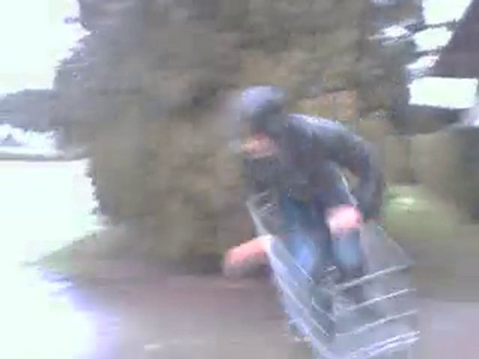 Le cadie lumière (snaker)