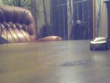 Mini voiture rc
