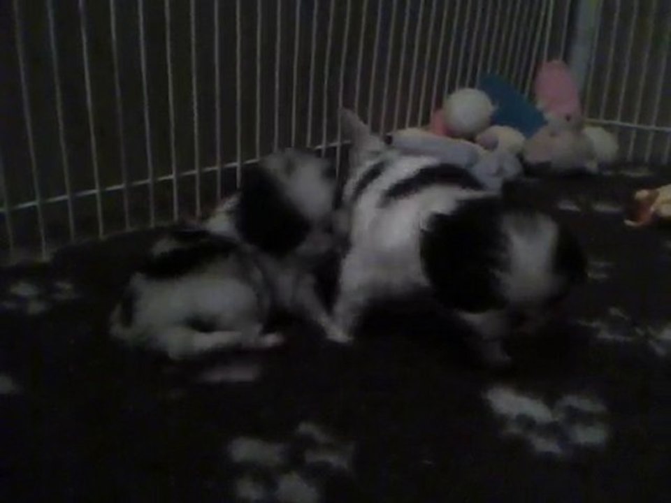 Gucci Givenchy 3 semaines