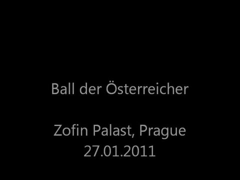 Ball der Österreicher 2011