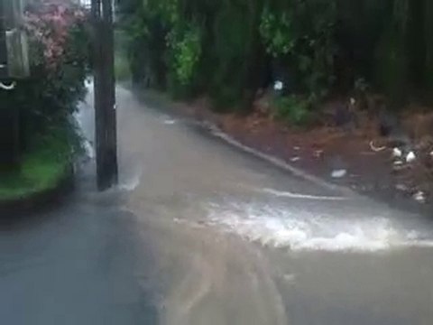 route bois de nefles