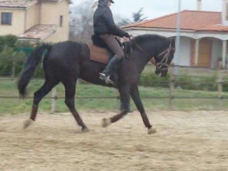 Romantic 29012011