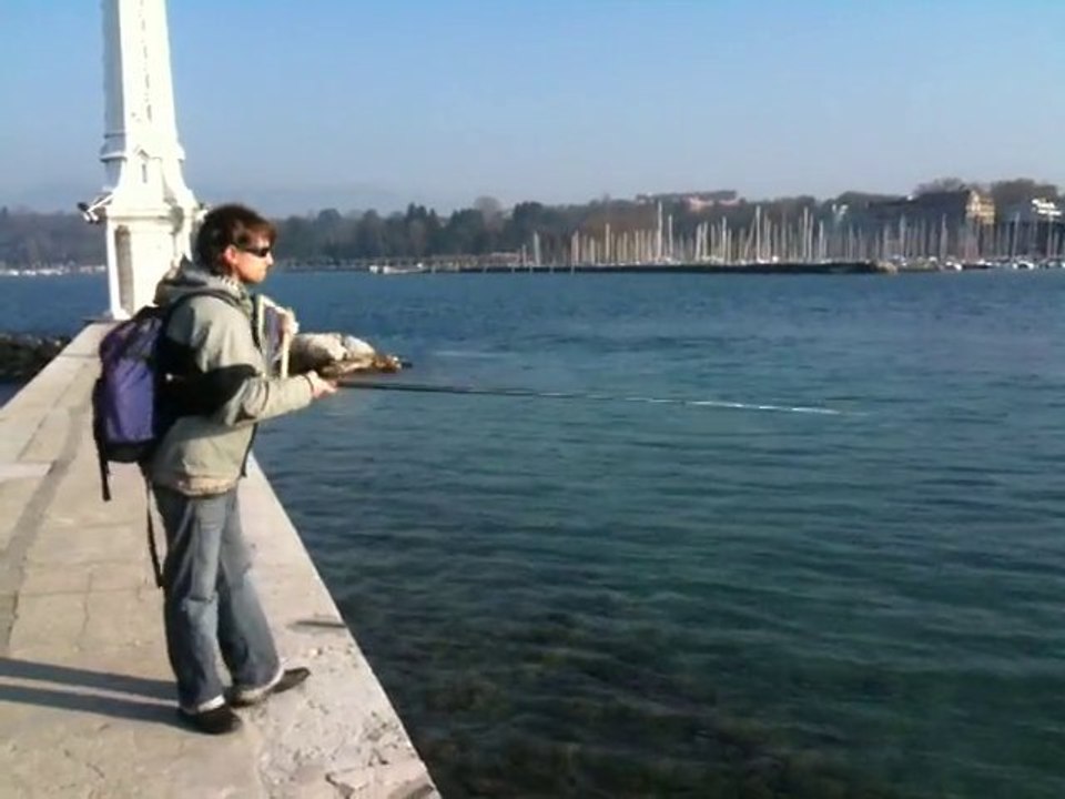En quête de dame lacustre sur le Léman...
