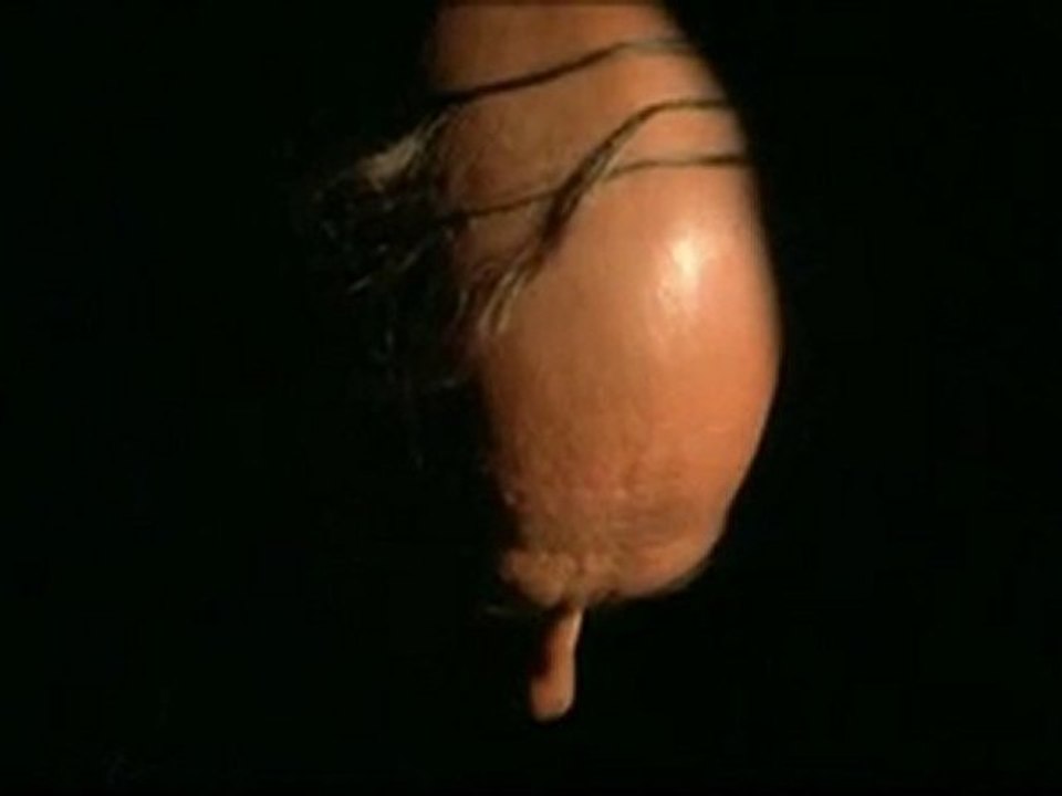 RRRrrrr - L'horreur a un visage