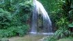 Waterfall @ Hummingbird Hall Destination Weddings in Jamaica