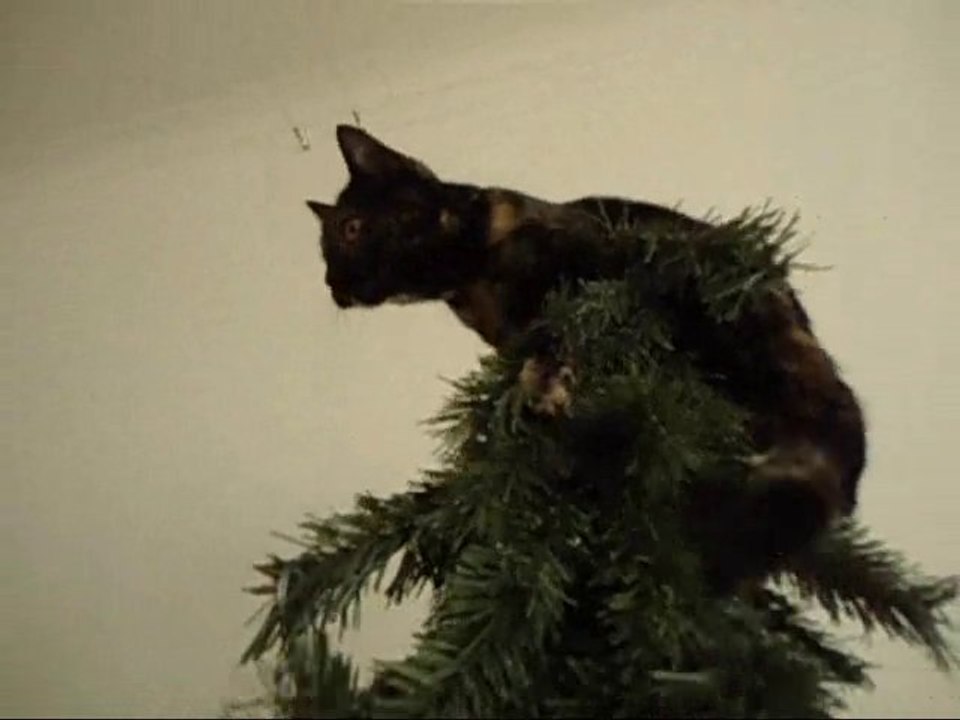 Mon faux sapin..