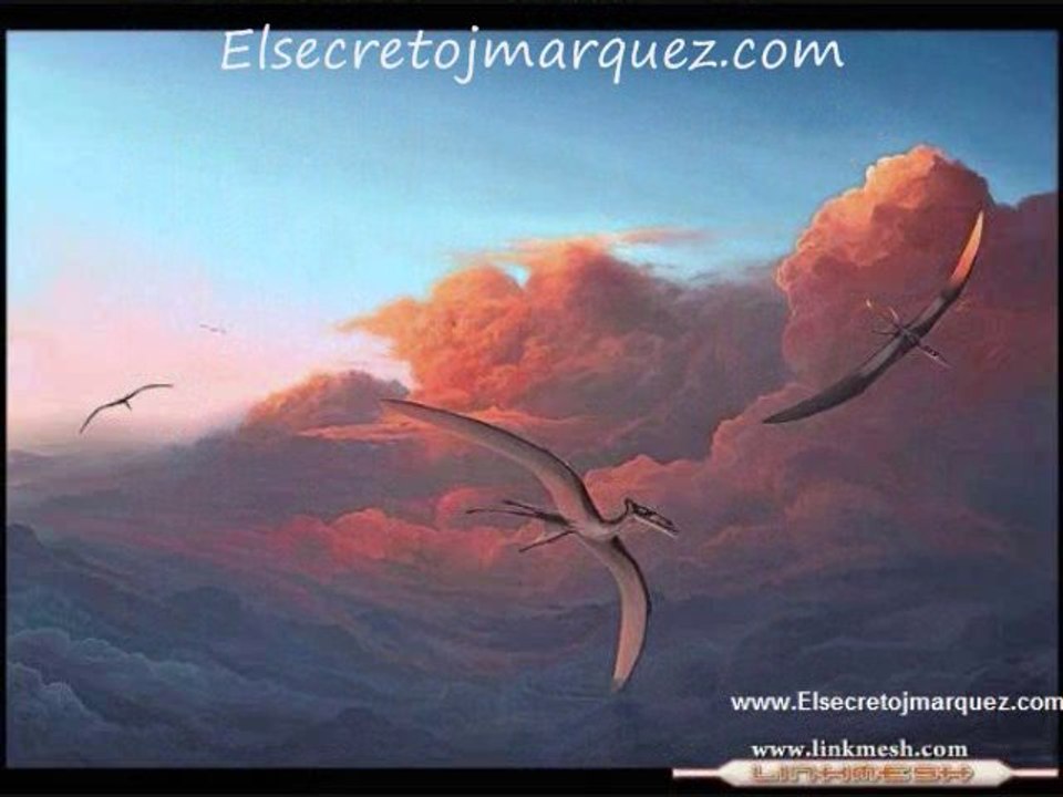 Reflexion 4 Un Dia Triste