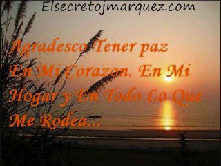 Reflexion 11 Solo Por HOY