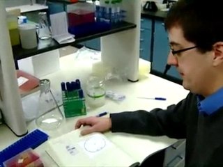 Plants to Detect Explosives