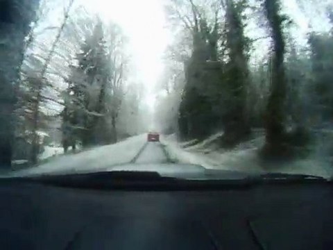 Sortie du 29 Janvier 2011