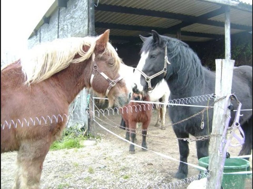 ESPOIR