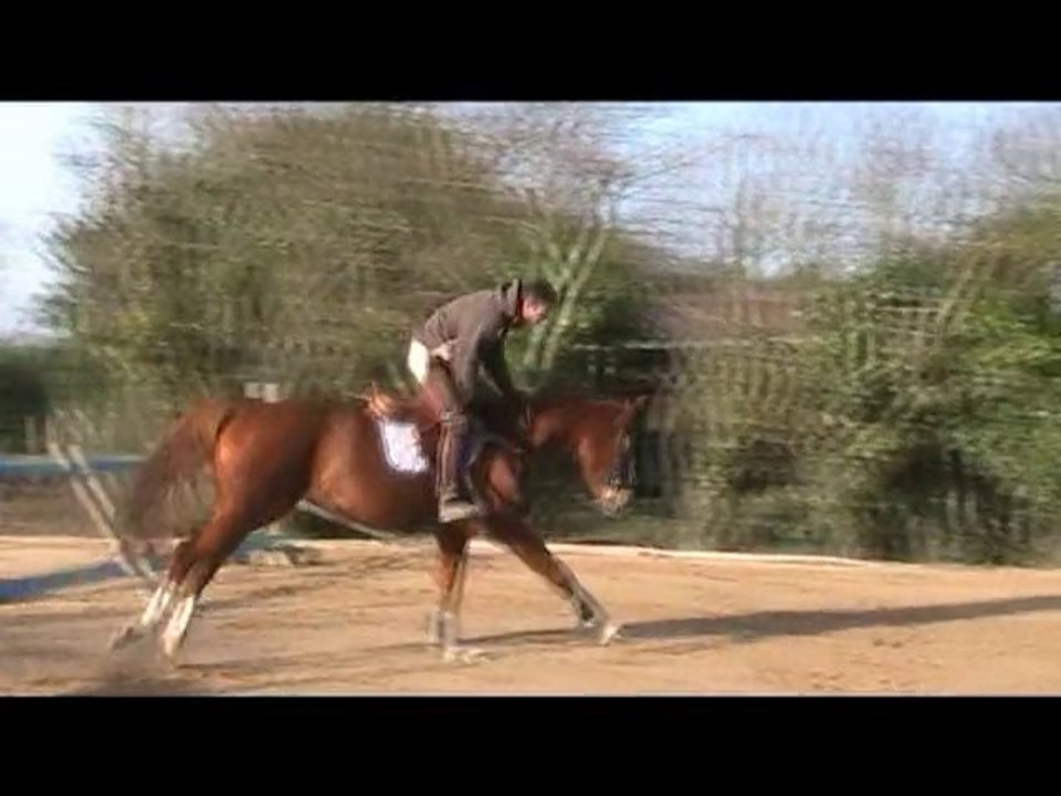 roucette du plessis a vendre