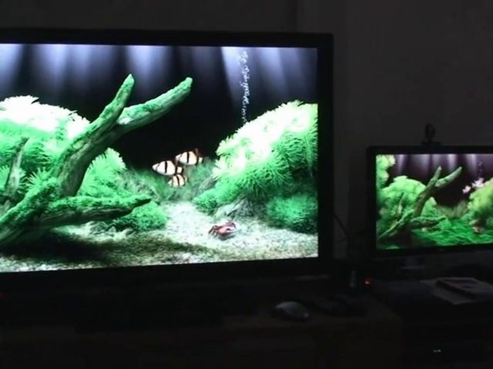 aquarium (720 x 128)