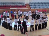Beauvais : Démonstration de capoeira