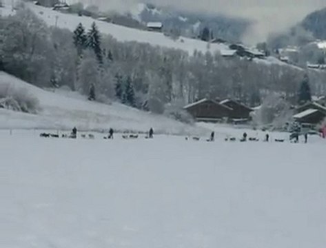 Vidéo de Tony en janvier 2011 sortie avec 20 traineaux avec 80 chiens