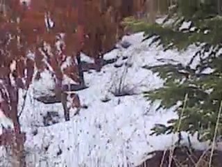 Sedir Çiftliği - ANKARA