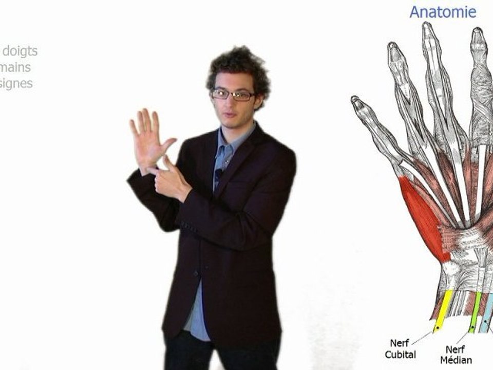 Les mains