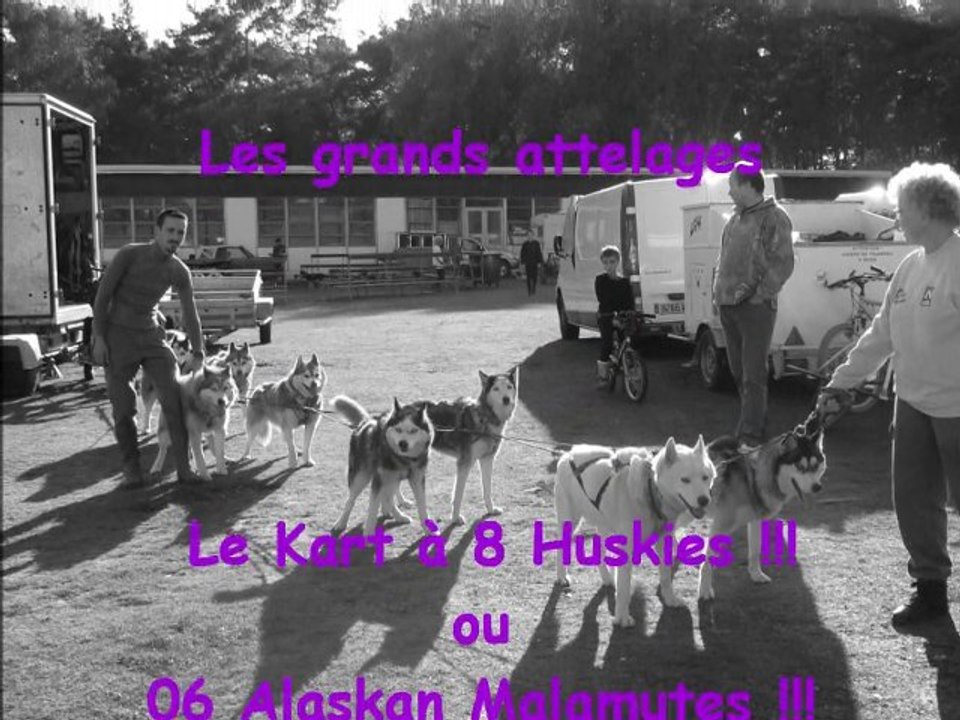 Kart 6 mala et 8 huskys