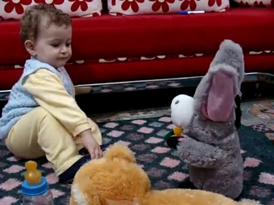 Kerem1 eşek