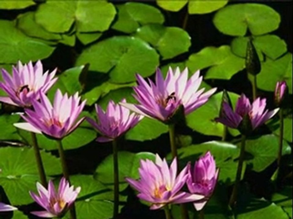 dj_ates_yalvarma_mp3_303b32