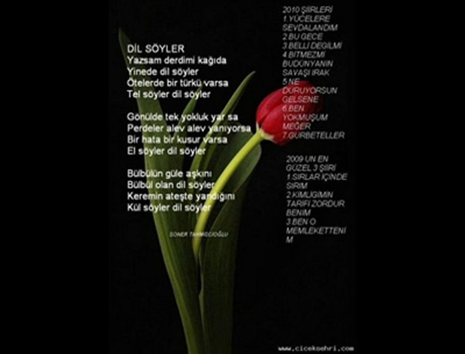 Soner Tahmiscioğlu - Dil Söyler