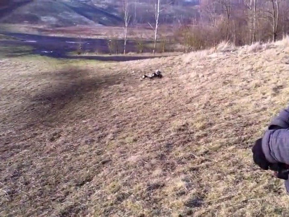 baja 29cc a slider 2