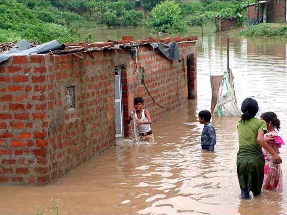 FRANK ECHEGUT "la foire aux vanités" 2010