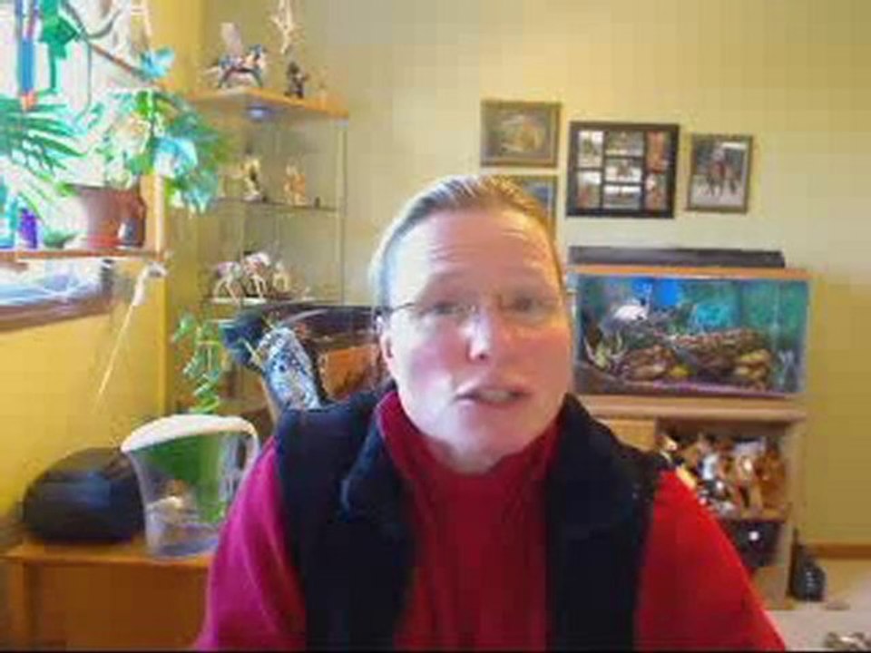 Squash Horse Riding Fear and Gain Confidence in the Saddle