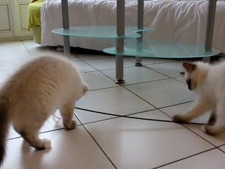 Les bibous à 90 jours