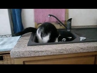 Paulchen spielt gern mit Wasser