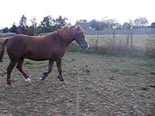 Cheer à la longe... 2e clap...