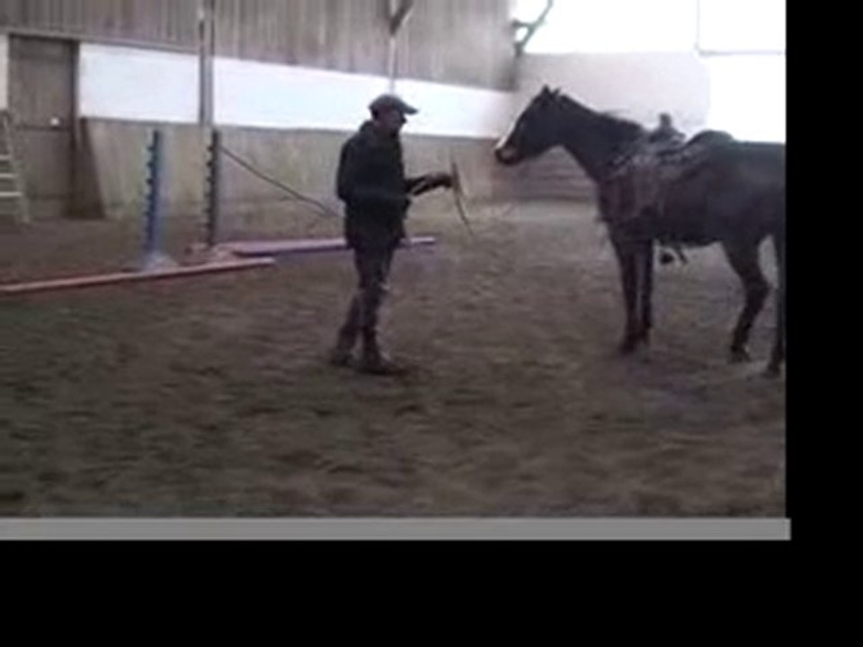 Poulinou à l'école, en selle! (30/1/11)