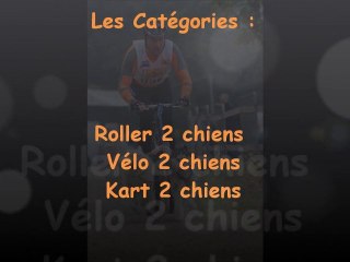 Les catégories Roller 2  Vélo 2 et kart 2 chiens