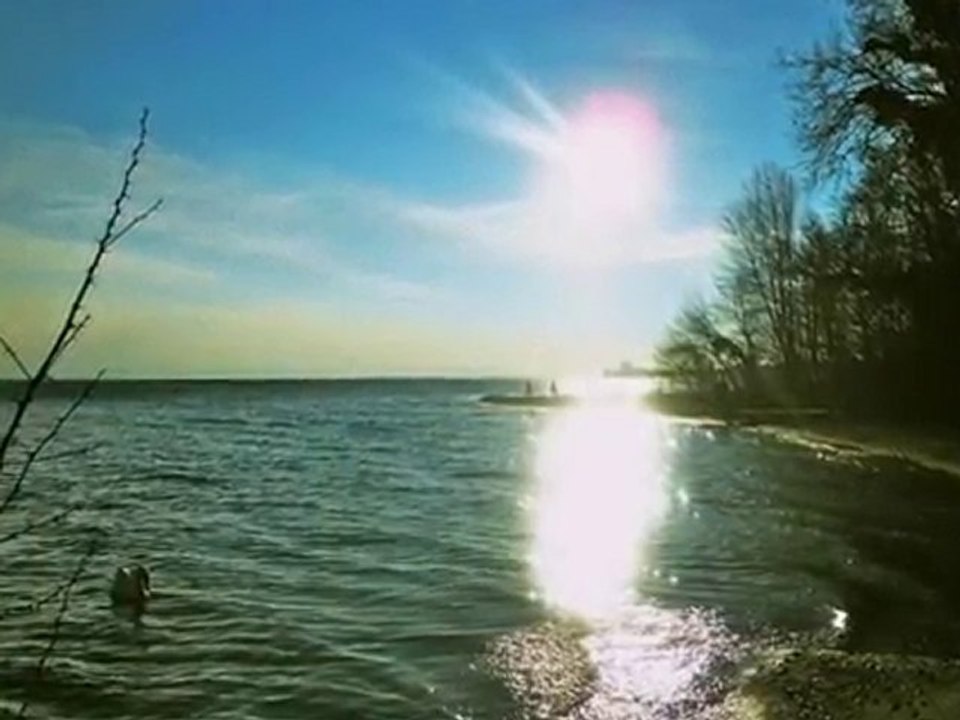 Promenade du 23.01.2011