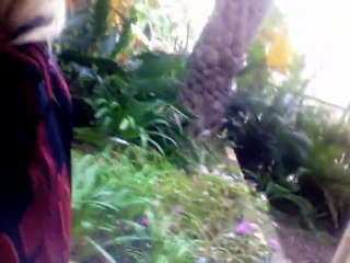 Film 2011-01-30 kl. 10.55