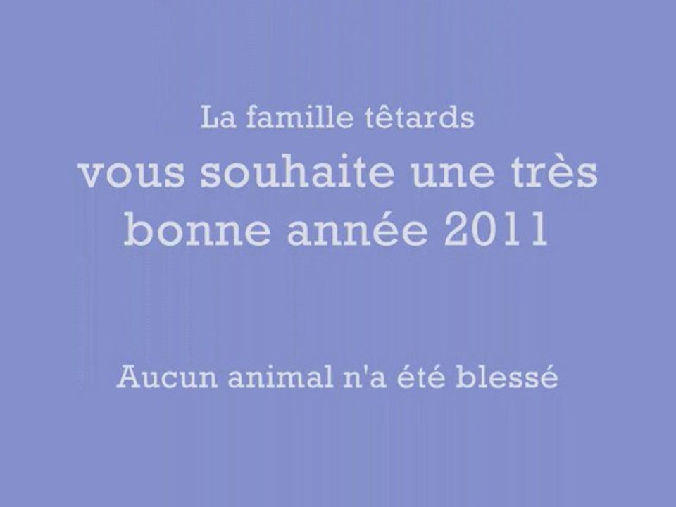 voeux 2011