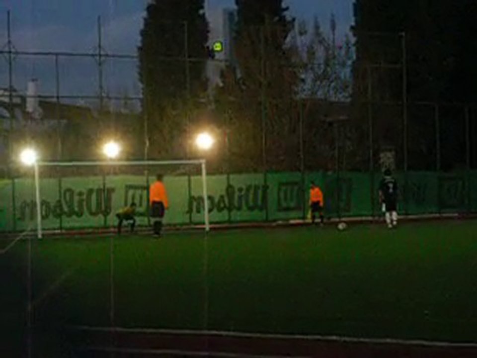 DSCI0334