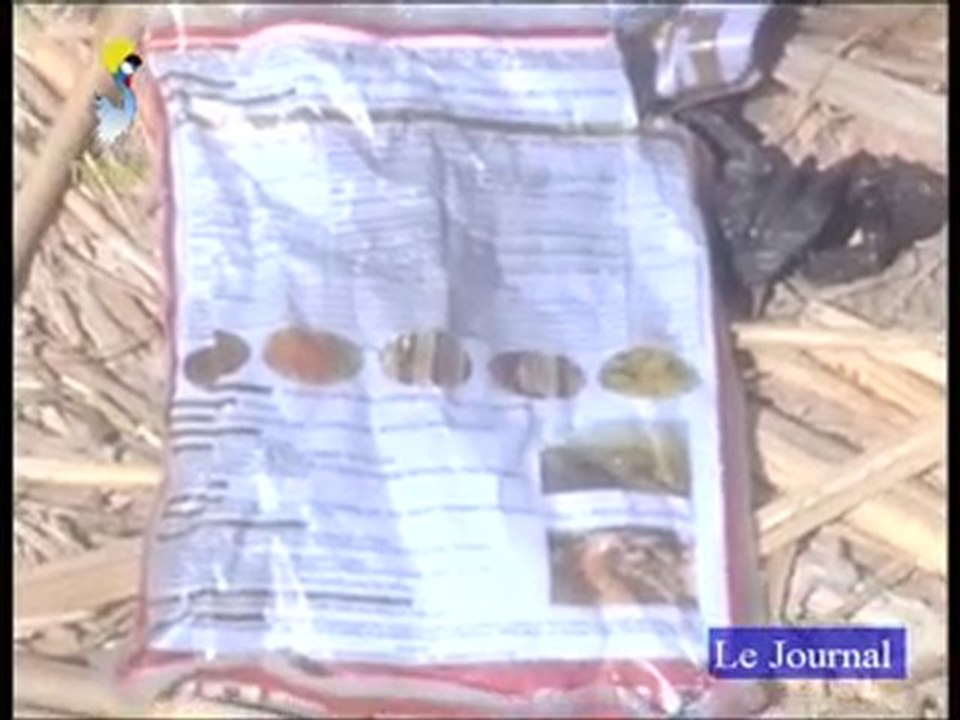 DERNIER JT FRANCAIS DU 30/01/2011 TCHADONLINE.TV