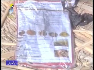 DERNIER JT ARABE DU 30/01/2011 TCHADONLINE.TV