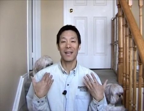 Puppy House Training With Litter Box For Dogs