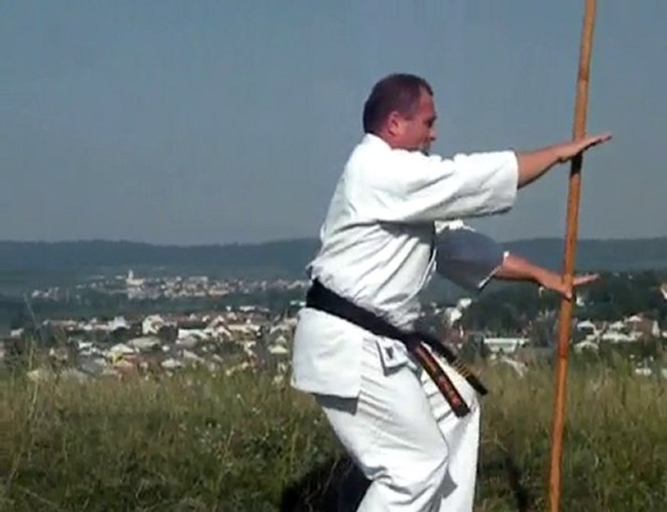Kyokushin, Bo - Shihan Jaretz Video