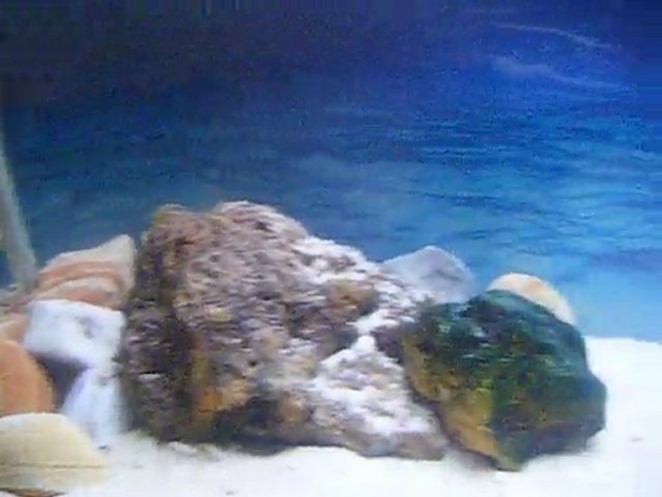 DSCF3917