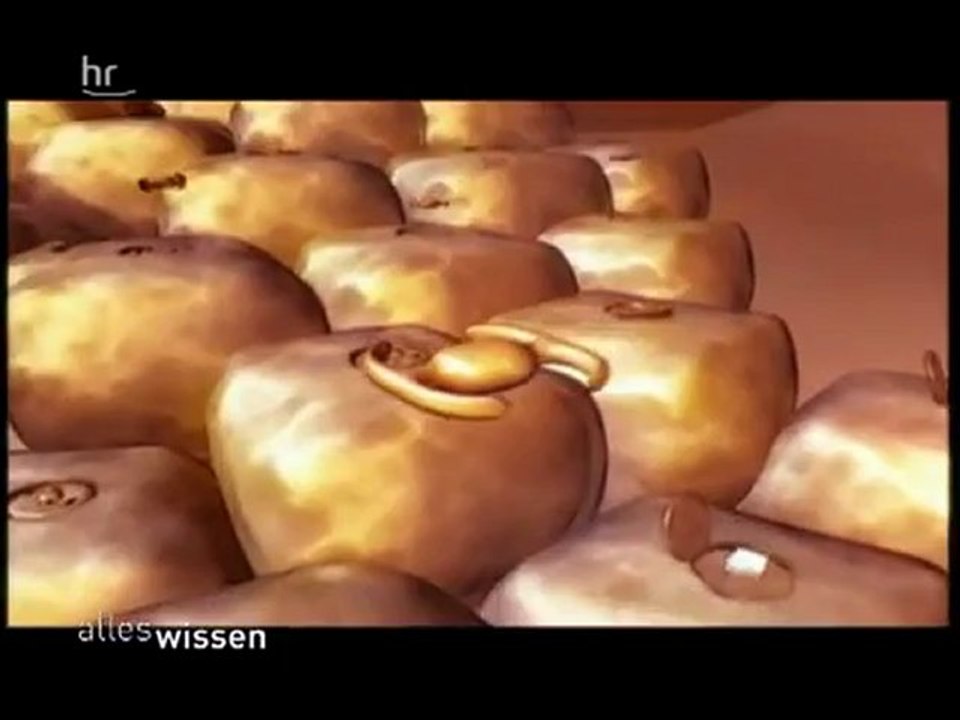 Fett verbrennen von Robert Paulus