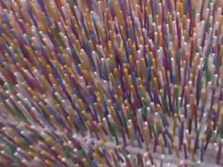 97,000 Toothpicks