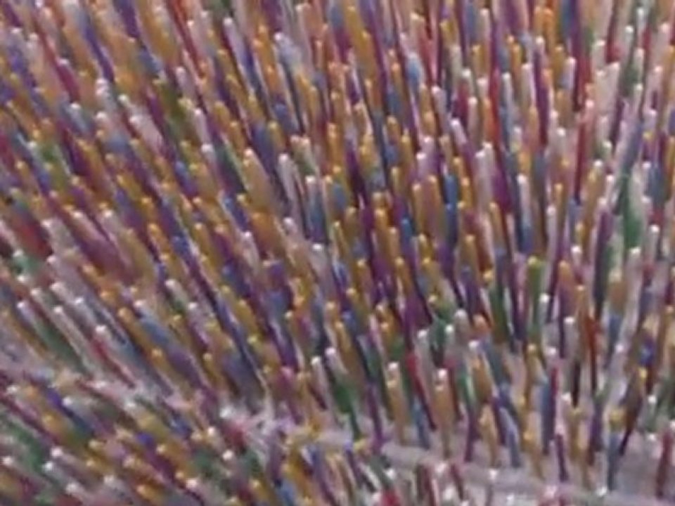 97,000 Toothpicks