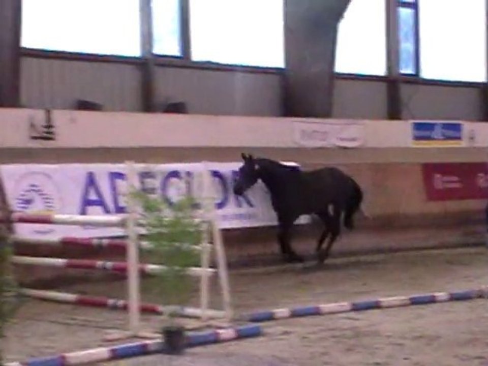 Tonus de Bettegney3
