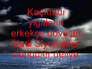 Mavi Marmara-Seyfettin Budak