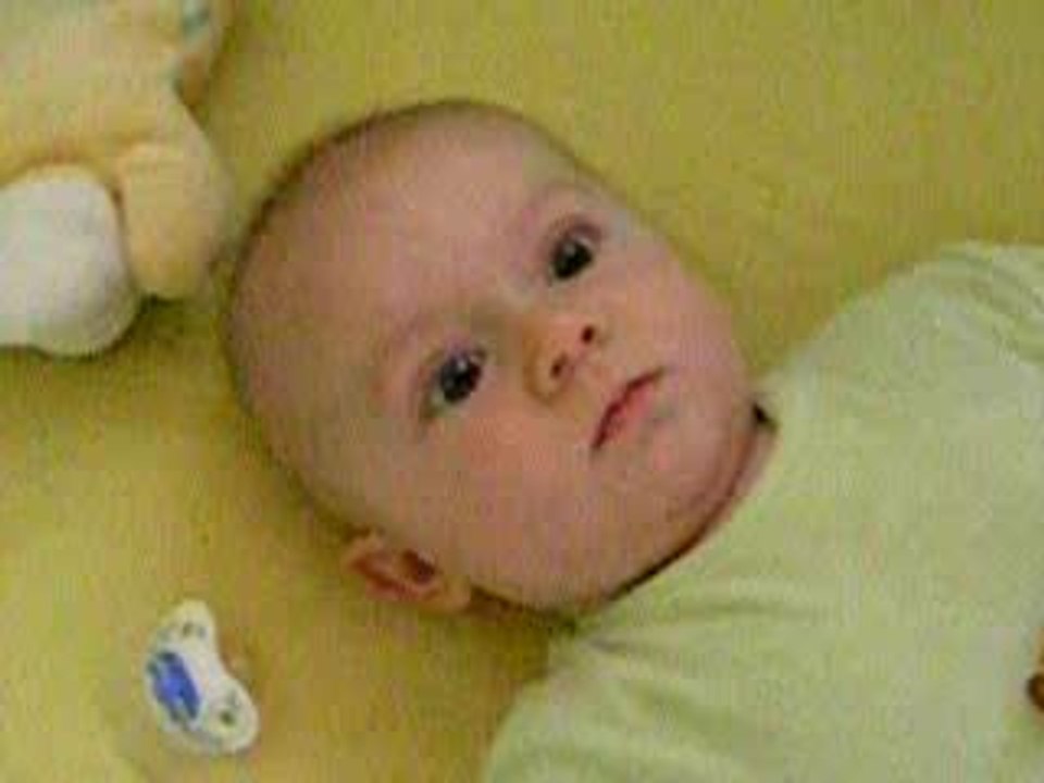 lucas5mrigole