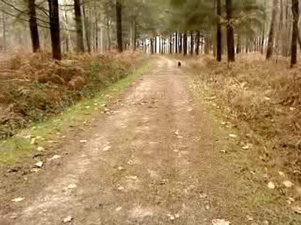 MOV00166