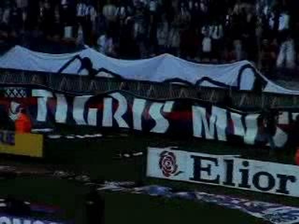 10 ans Tigris Mystic 1993